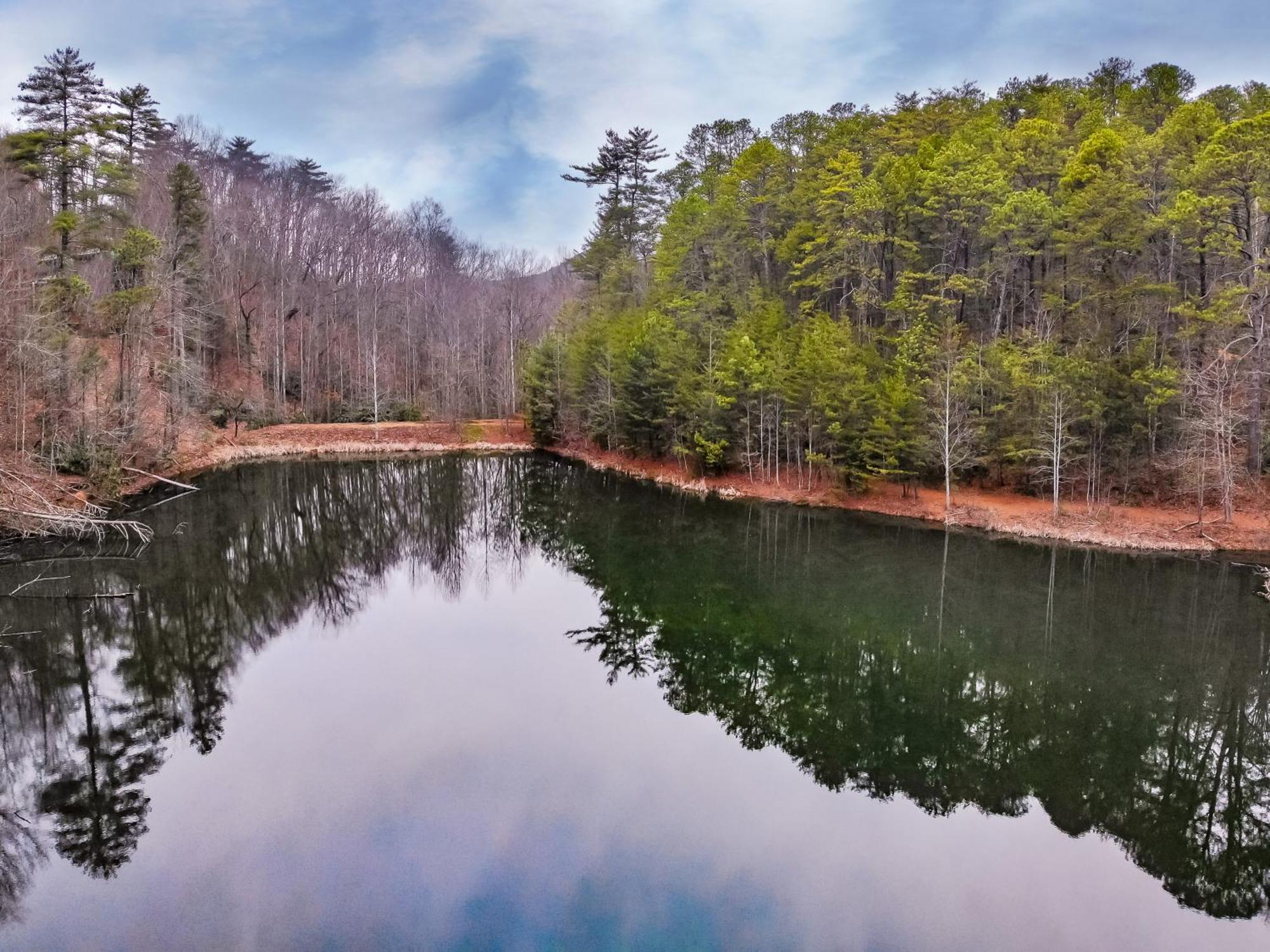 Alpine Joy-Hot Tub, Pond Access ,1089 Of Free Tickets For Each Paid Day, Dollywood And More! Townsend Δωμάτιο φωτογραφία